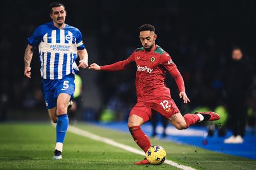 Brighton contre les loups