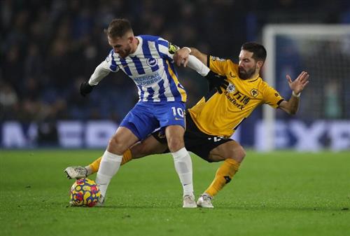 Brighton contre les loups