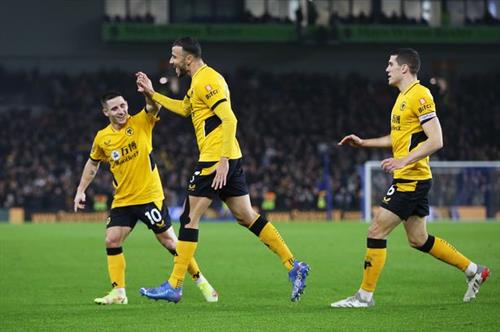 Loups contre Brighton